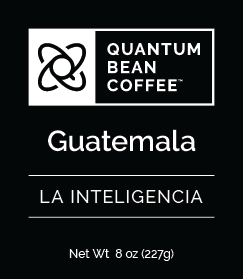 Guatemala - La Inteligencia